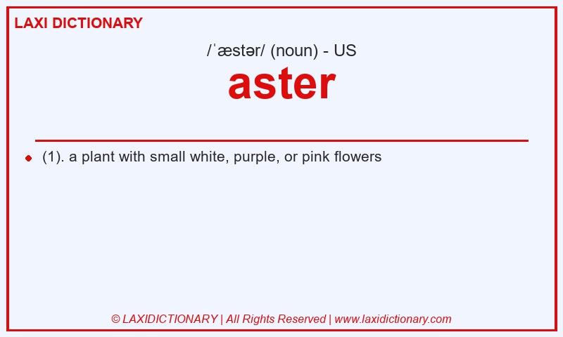 Definition aster in American English