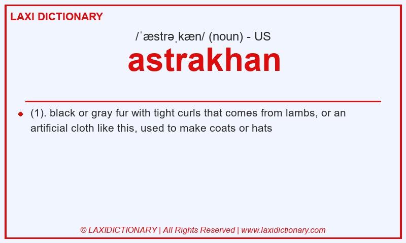 Definition astrakhan in American English