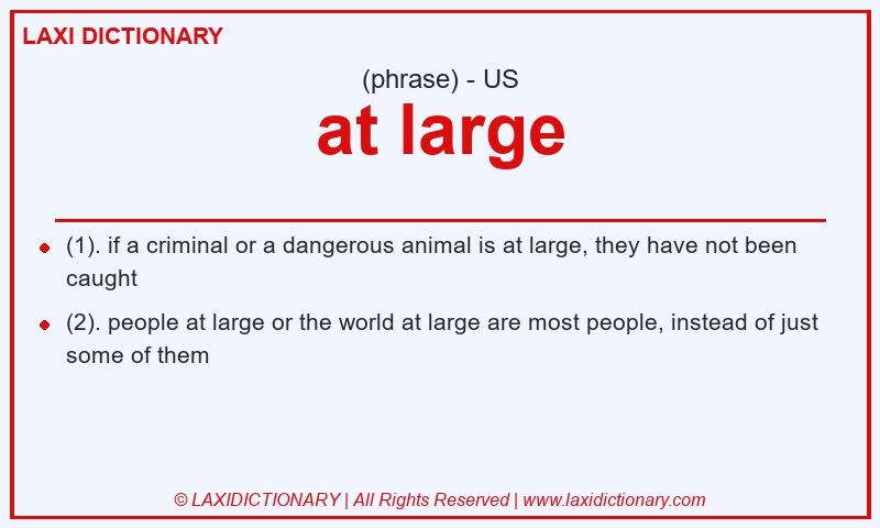 Definition at large in American English