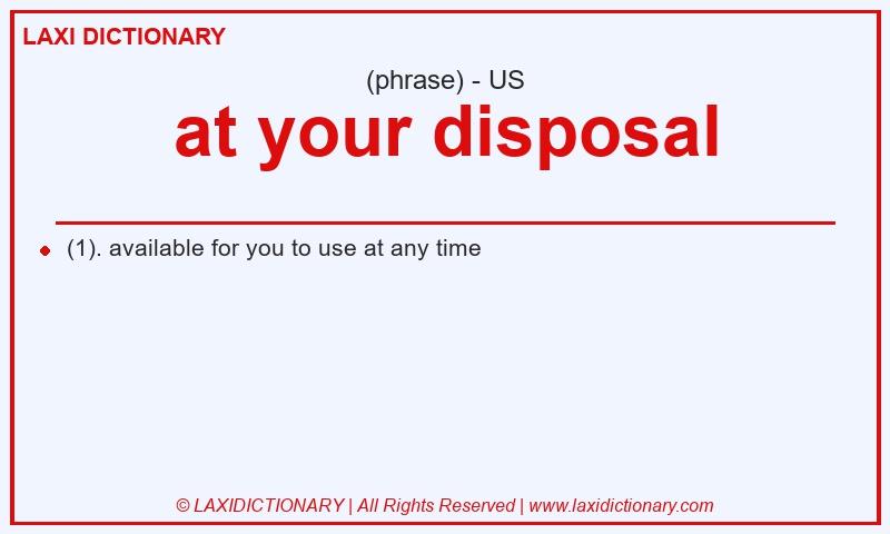 Definition at your disposal in American English