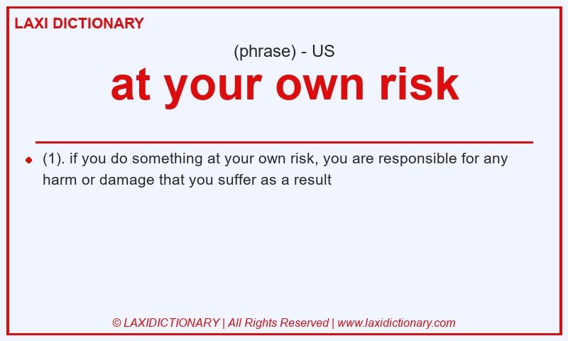 Definition at your own risk in American English