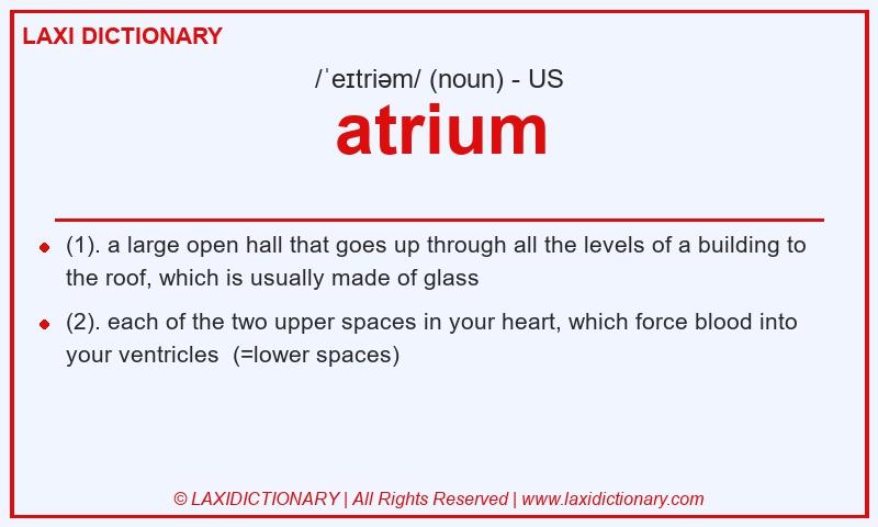 Definition atrium in American English