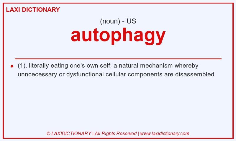 Definition autophagy in American English