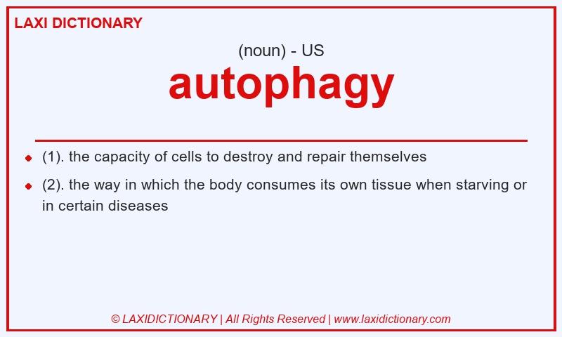 Definition autophagy in American English