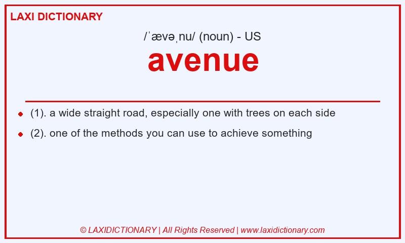 Definition avenue in American English