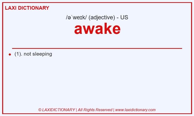 Definition awake in American English