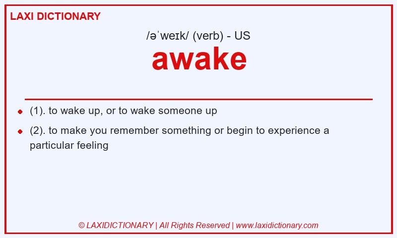 Definition awake in American English