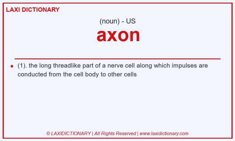 Definition axon in American English