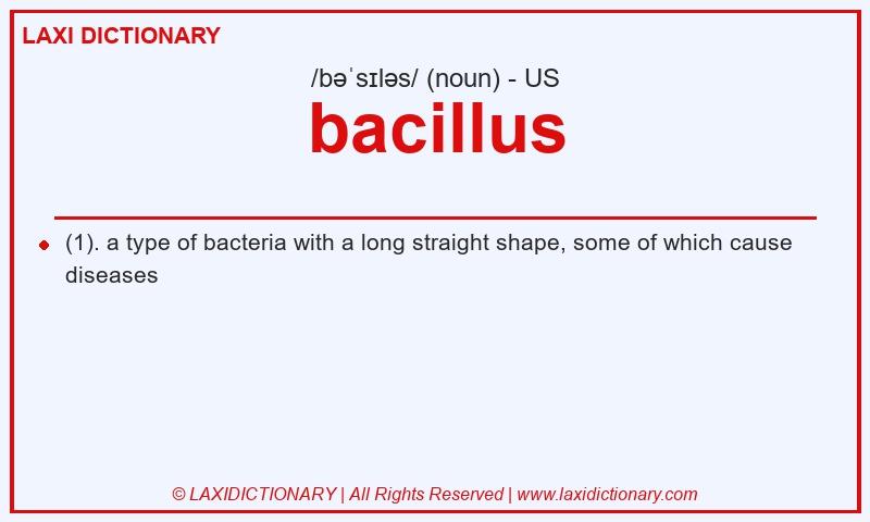Definition bacillus in American English