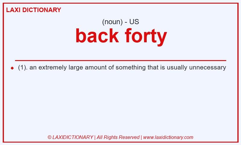Definition back forty in American English