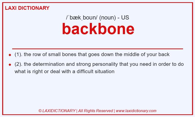 Definition backbone in American English