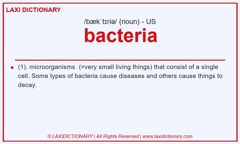 Definition bacteria in American English