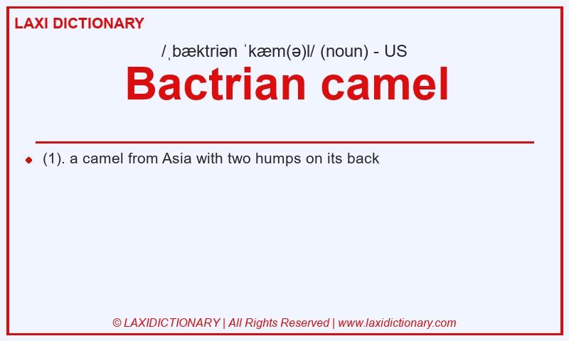 Definition Bactrian camel in American English