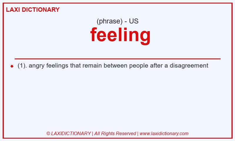 Definition  feeling in American English
