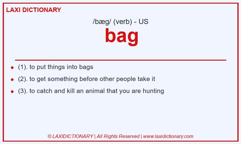 Definition bag in American English