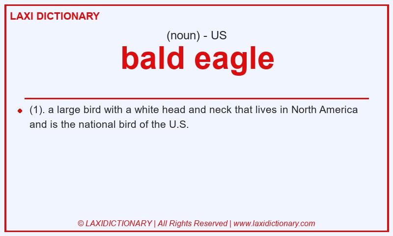 Definition bald eagle in American English