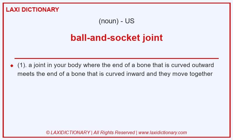 Definition ball-and-socket joint in American English