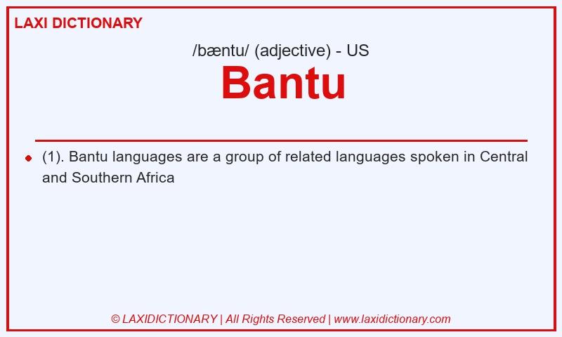 Definition Bantu in American English