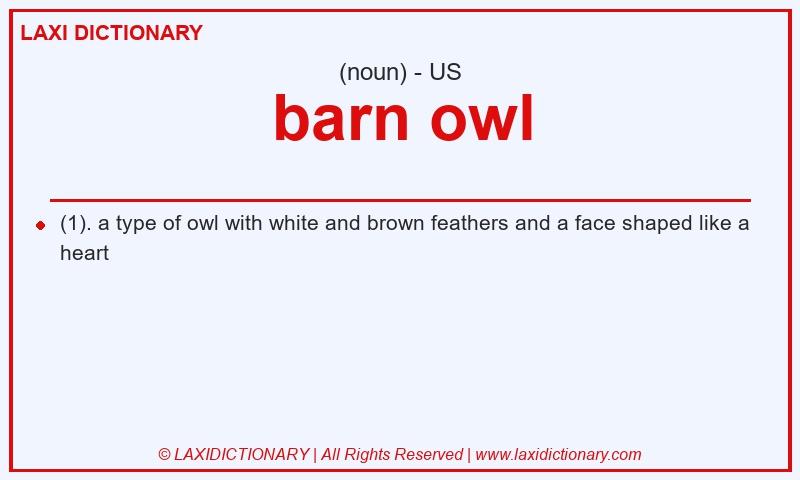 Definition barn owl in American English