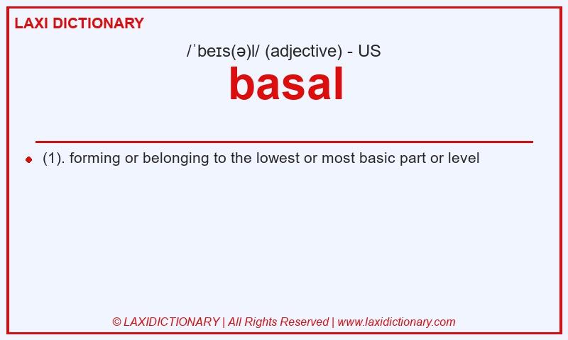 Definition basal in American English