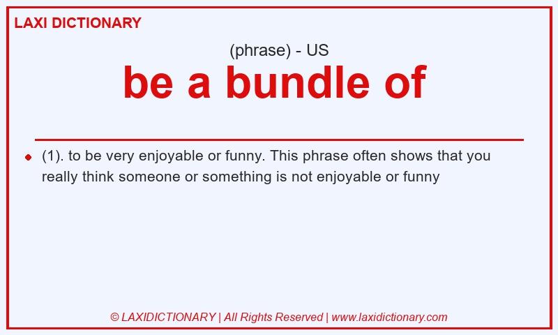 Definition be a bundle of  in American English