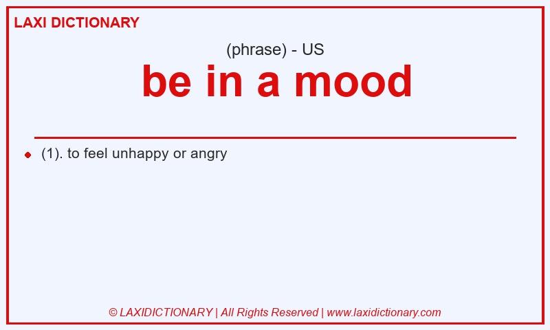 Definition be in a mood in American English