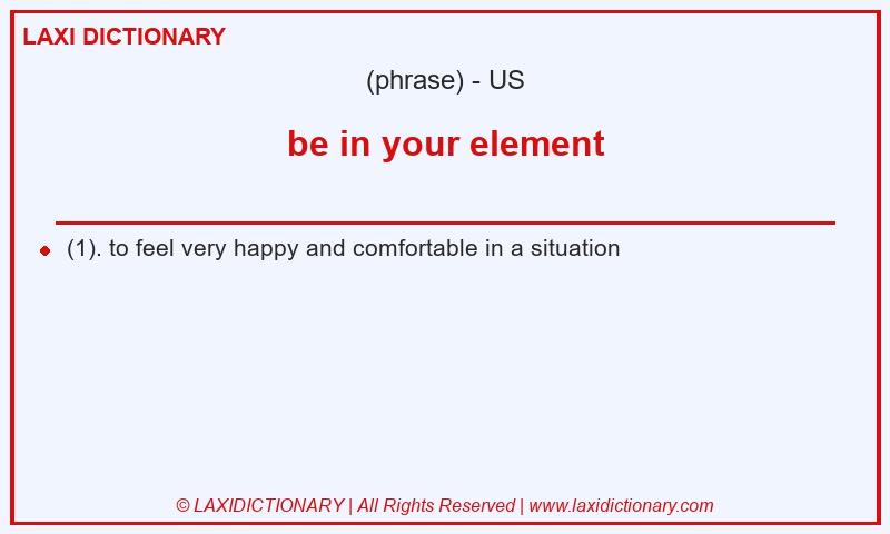 Definition be in your element in American English