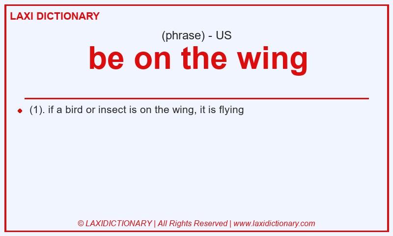 Definition be on the wing in American English