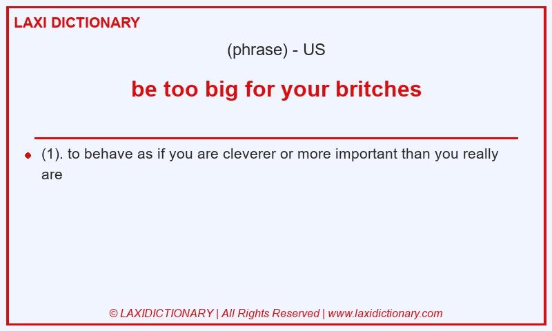 Definition be too big for your britches in American English