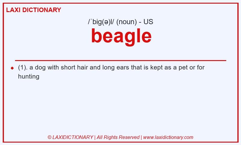 Definition beagle in American English