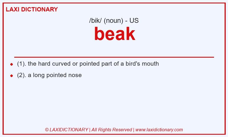 Definition beak in American English