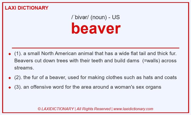 Definition beaver in American English