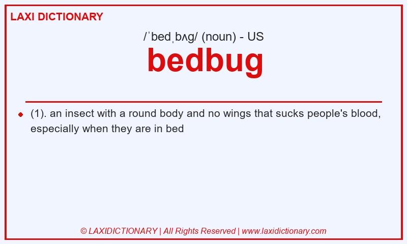 Definition bedbug in American English