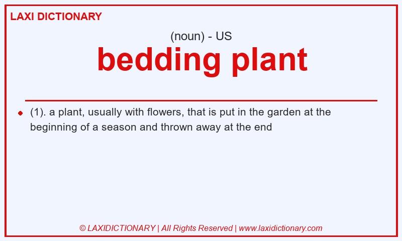 Definition bedding plant in American English