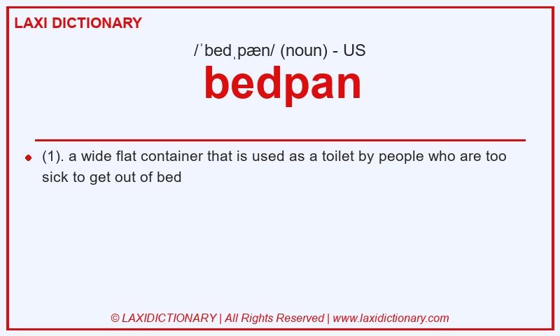 Definition bedpan in American English