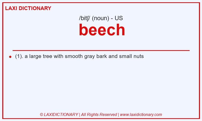 Definition beech in American English