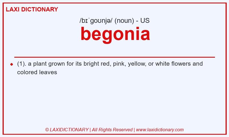 Definition begonia in American English