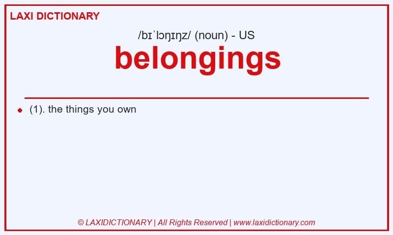 Definition belongings in American English