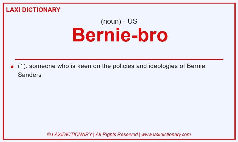 Definition Bernie-bro in American English