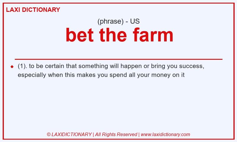 Definition bet the farm in American English