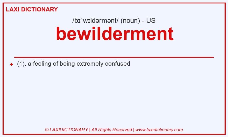 Definition bewilderment in American English
