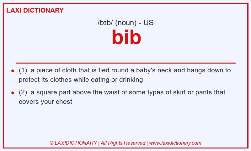 Definition bib in American English
