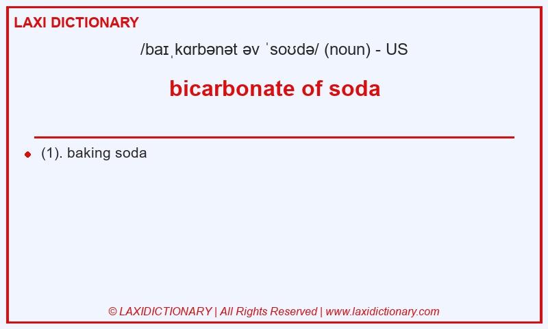 Definition bicarbonate of soda in American English