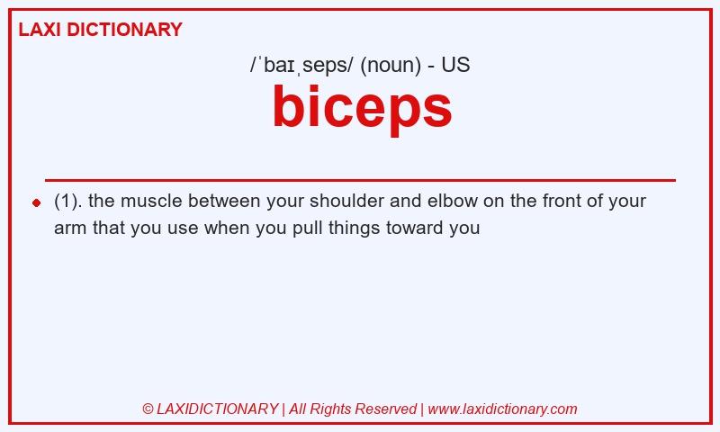 Definition biceps in American English