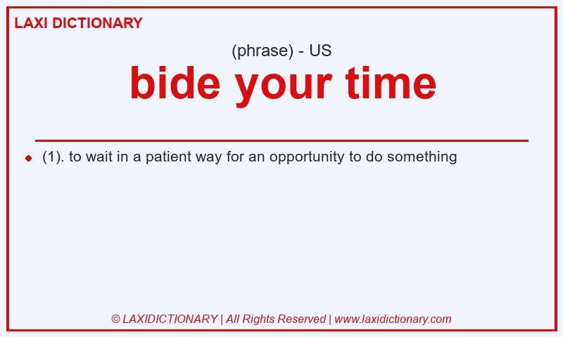 Definition bide your time in American English