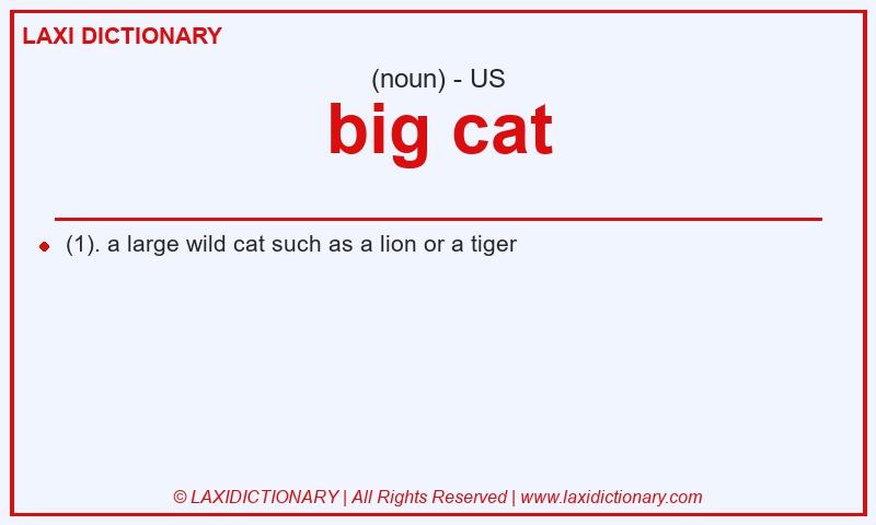 Definition big cat in American English