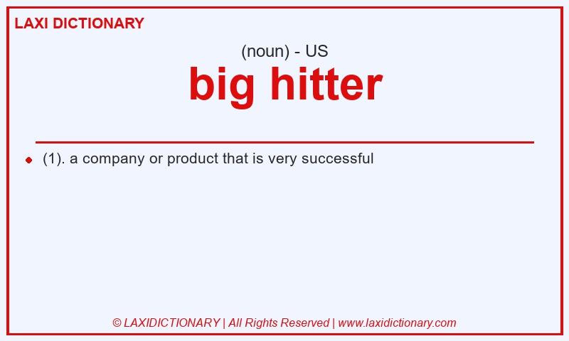 Definition big hitter in American English