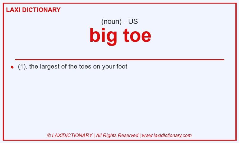 Definition big toe in American English