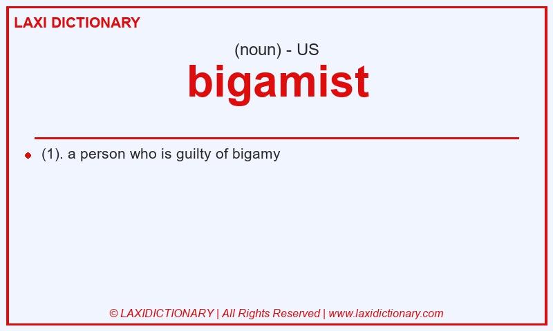 Definition bigamist in American English