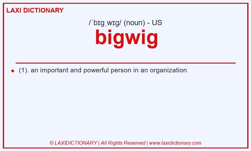 Definition bigwig in American English